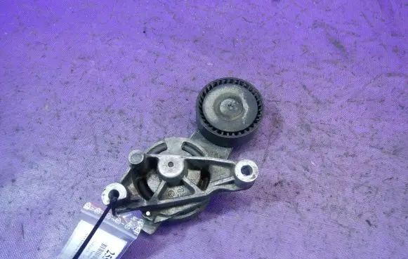 Volkswagen PASSAT B6 Timing belt tensioner 03G903315
