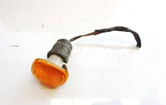 Front fender indicator light