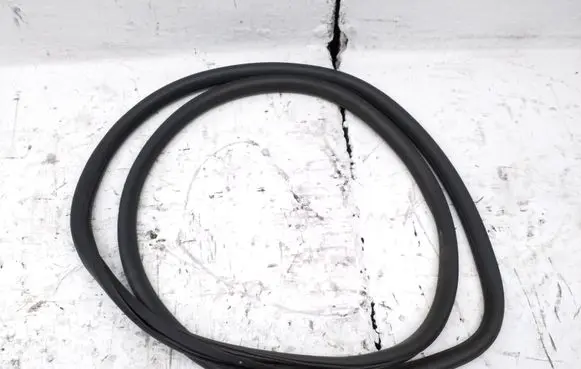 Opel Zafira C Front door rubber seal 13259937