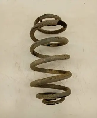Rear coil spring
