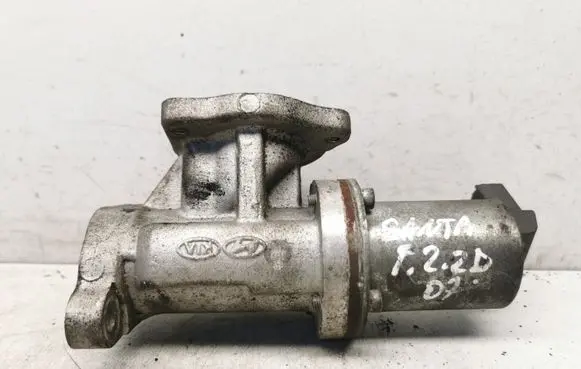 Hyundai Santa Fe EGR valve