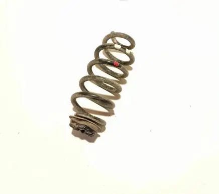 Nissan X-Trail T32 Rear coil spring