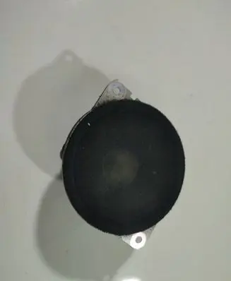 Chrysler Sebring (JS) Front door speaker
