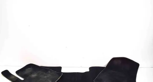 Tesla Model 3 Car floor mat set 145475900B