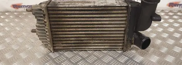 Fiat Ducato Intercooler radiator 1307012080