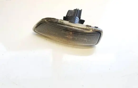 Front fender indicator light