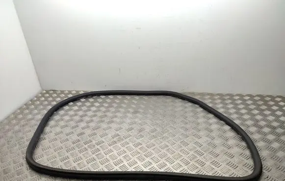 Peugeot 2008 II Rear door rubber seal (on body) 