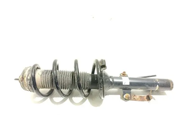Front shock absorber with coil spring