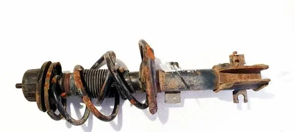 Fiat Bravo Front shock absorber/damper 