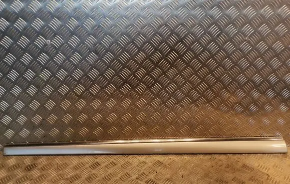 Mercedes-Benz S W220 Front door trim (molding) 2206900562