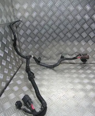 Alfa Romeo Stelvio Positive wiring loom 00505518250