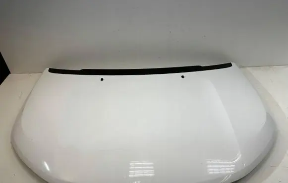 Opel Ampera Engine bonnet/hood 000000