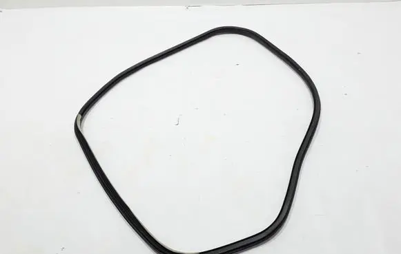 Renault Laguna III Rear door rubber seal (on body) 769240002R