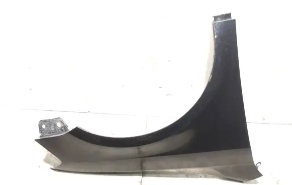 Volkswagen PASSAT B7 Fender