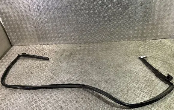 Ford Mustang VI Rubber seal rear door window/glass 