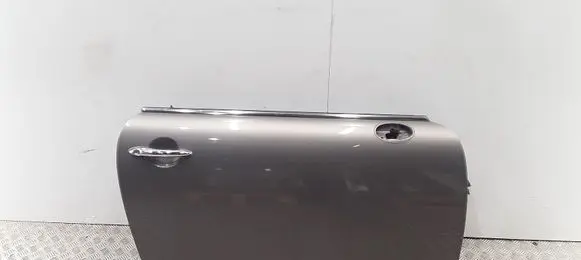Mini Cooper Countryman R60 Front door