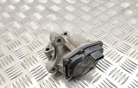 Nissan Qashqai+2 EGR valve H8201068965 147100789R VN1501000101