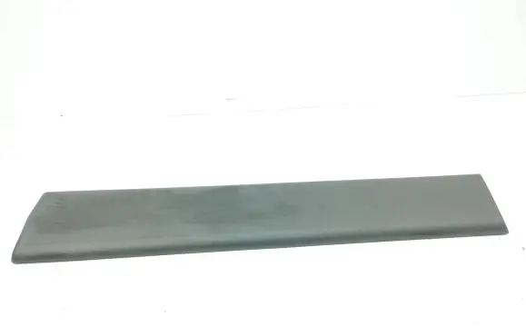 Renault Trafic II (X83) Rear door trim (molding) 91165344