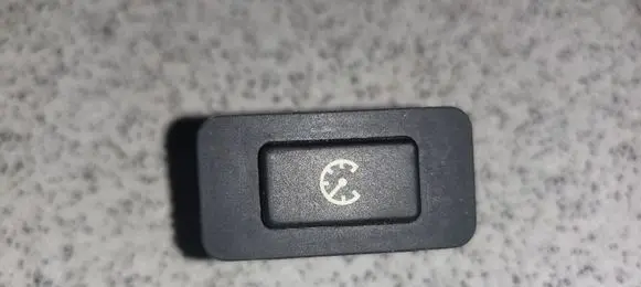 BMW 5 E39 Cruise control switch 61318360462