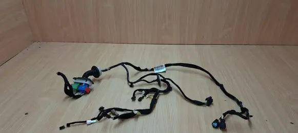 Front door wiring loom