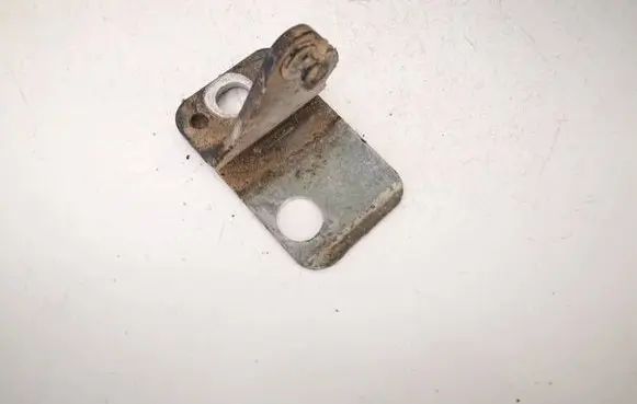 Volkswagen PASSAT B6 Rear door lower hinge 