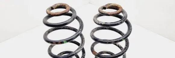 Volkswagen PASSAT B5 Rear coil spring