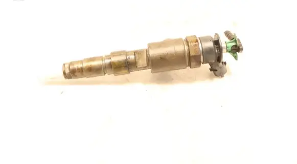 Citroen C3 Fuel injector 0445110339