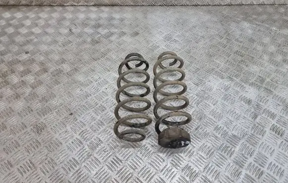 Rear coil spring