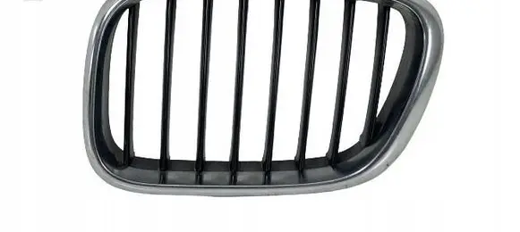 BMW X5 E53 Front bumper upper radiator grill 8247673
