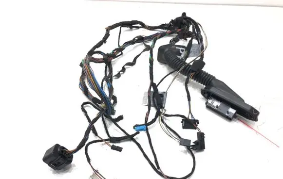BMW X6 E71 Rear door wiring loom 7209884