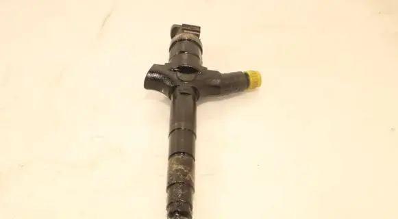 Opel Vectra C Fuel injector 0G900262