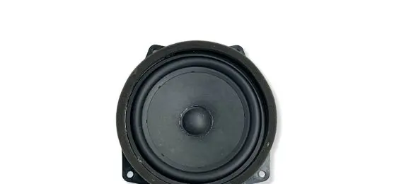 BMW i4 Front door speaker 5A12334 47601