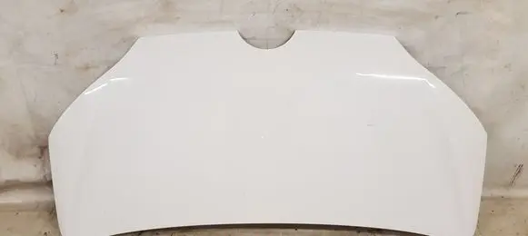Engine bonnet/hood
