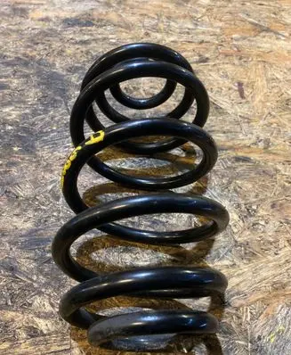 Rear coil spring