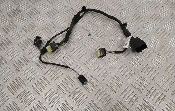 Other wiring loom