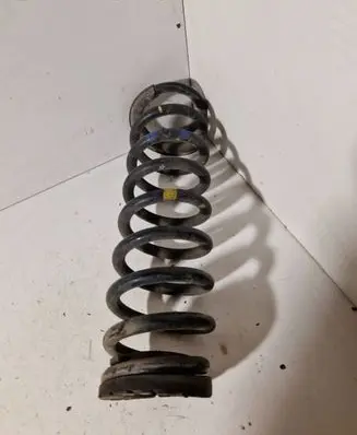 Rear coil spring