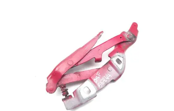 BMW Z4 E89 Engine bonnet/hood hinges 7191512