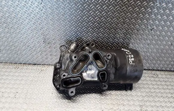 Peugeot 307 Oil filter mounting bracket 9656969980