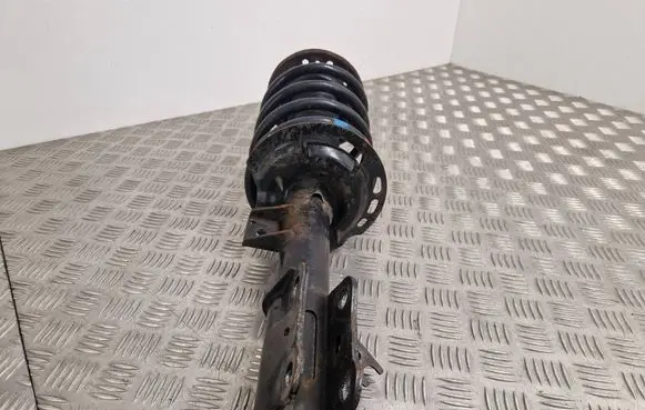 Ford Mondeo MK V Front shock absorber with coil spring DG9C18045
