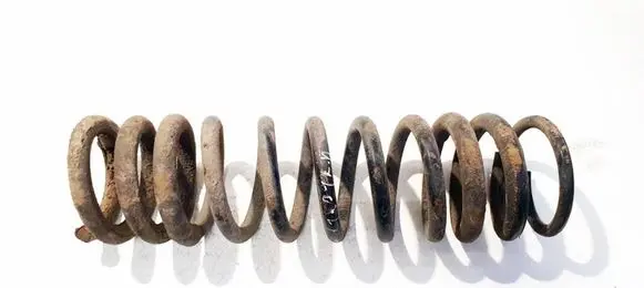 Ford Focus Rear coil spring 