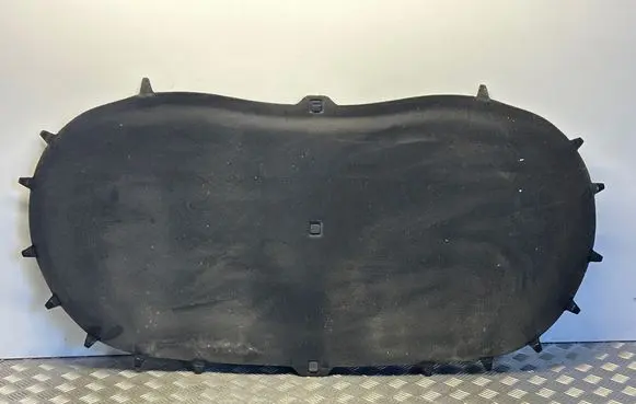Volkswagen Tiguan Engine bonnet/hood sound/heat insulation