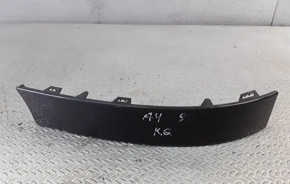 Rear/tail light trim molding