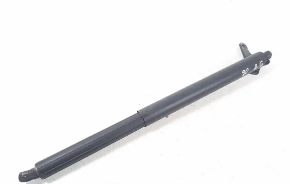 Tailgate strut