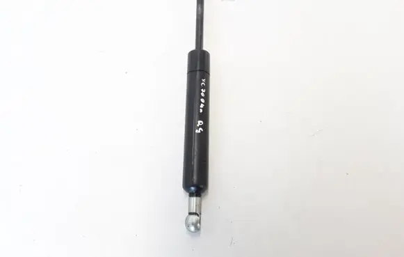 Tailgate strut