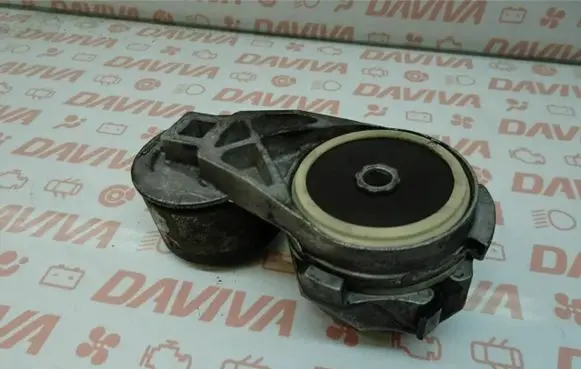 Mercedes-Benz C W202 Timing belt/chain tensioner 