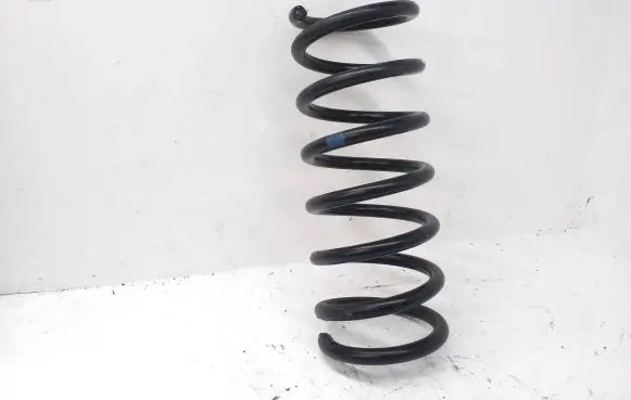 Ford S-MAX Rear coil spring