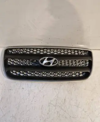 Hyundai Santa Fe Front bumper upper radiator grill