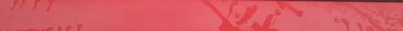 Volkswagen Cross Polo Rear door glass trim molding