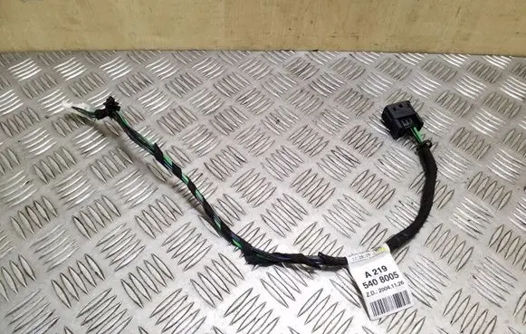 Mercedes-Benz CLS C219 Rear door wiring loom A2195408005