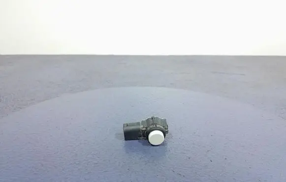Parking PDC control unit/module